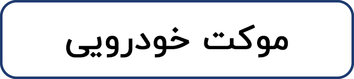 موکت خودرویی