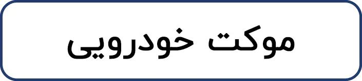 موکت خودرویی
