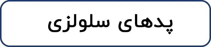 پدهای سلولزی